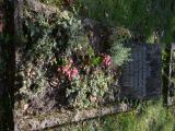 image number 6